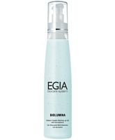 Фото | картинка *Гель с антиоксидантным комплексом в микросферах(EGIA/Vitamin Complex Washing Up Gel/200ml/FP-85)
