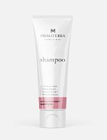 Фото | картинка *Восстанавливающий шампунь для всех типов волос (PRIMATERRA/250мл)