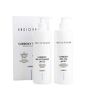 Фото | картинка *Набор для карбокситерапии ГЕЛЬ СО2 + ГЕЛЬ-АКТИВАТОР (АНГИОФАРМ/2*400мл/CX03)