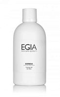 Фото | картинка *Основа гелевая увлажняющая/Packing Gel (EGIA/BIORINOVA/Basic Key Pre-Treatment/500мл/FPS-33)